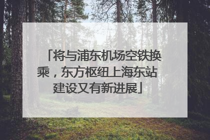 将与浦东机场空铁换乘，东方枢纽上海东站建设又有新进展