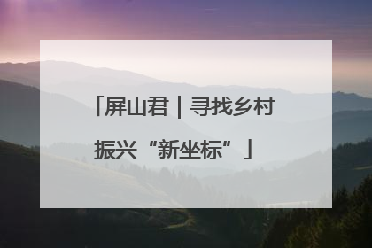 屏山君｜寻找乡村振兴“新坐标”