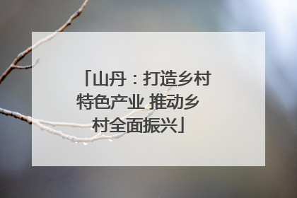 山丹：打造乡村特色产业 推动乡村全面振兴