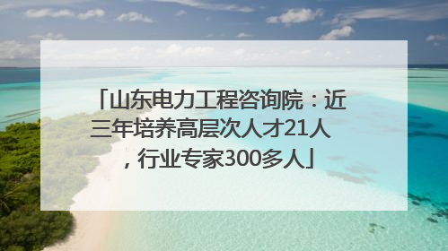 山东电力工程咨询院：近三年培养高层次人才21人，行业专家300多人