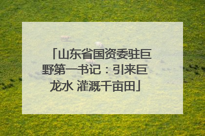 山东省国资委驻巨野第一书记：引来巨龙水 灌溉千亩田