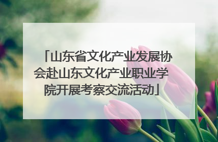 山东省文化产业发展协会赴山东文化产业职业学院开展考察交流活动