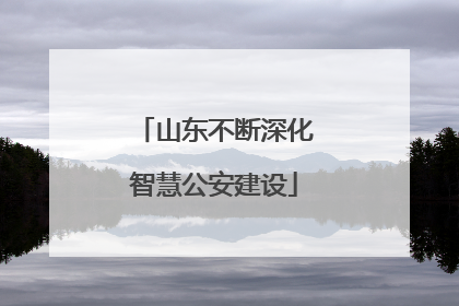 山东不断深化智慧公安建设