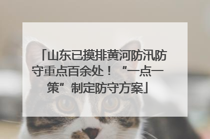 山东已摸排黄河防汛防守重点百余处！“一点一策”制定防守方案