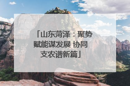 山东菏泽：聚势赋能谋发展 协同支农谱新篇