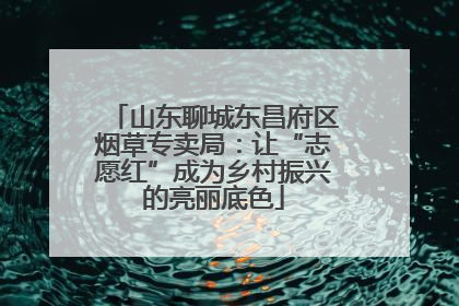 山东聊城东昌府区烟草专卖局：让“志愿红”成为乡村振兴的亮丽底色