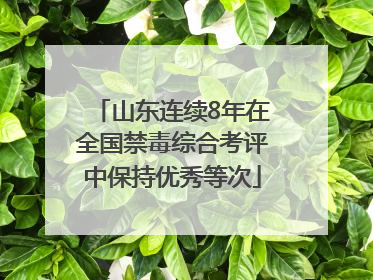 山东连续8年在全国禁毒综合考评中保持优秀等次