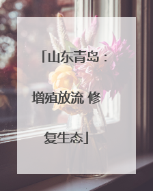 山东青岛：增殖放流 修复生态