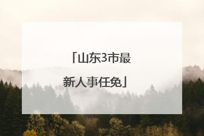 山东3市最新人事任免