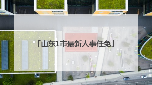 山东1市最新人事任免