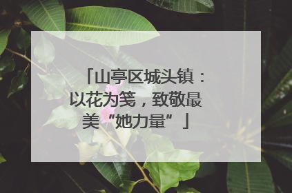 山亭区城头镇：以花为笺，致敬最美“她力量”