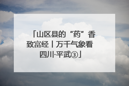 山区县的“药”香致富经丨万千气象看四川·平武③