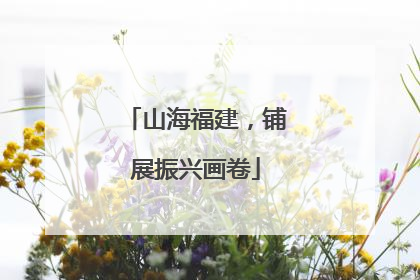 山海福建，铺展振兴画卷