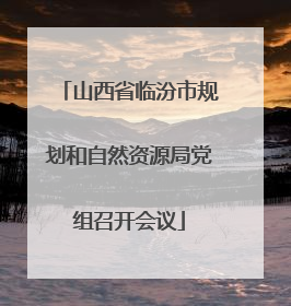 山西省临汾市规划和自然资源局党组召开会议