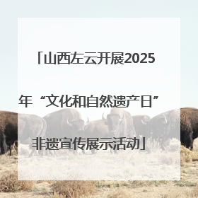 山西左云开展2025年“文化和自然遗产日”非遗宣传展示活动