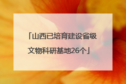 山西已培育建设省级文物科研基地26个