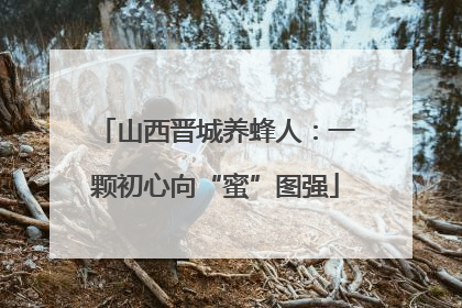 山西晋城养蜂人：一颗初心向“蜜”图强
