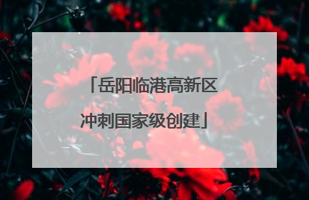 岳阳临港高新区冲刺国家级创建