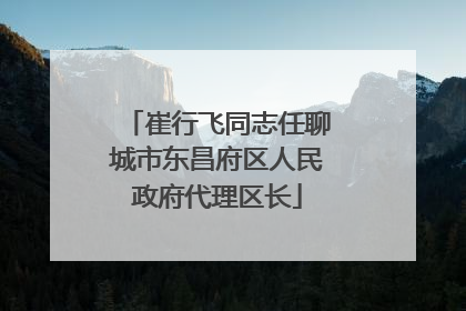 崔行飞同志任聊城市东昌府区人民政府代理区长