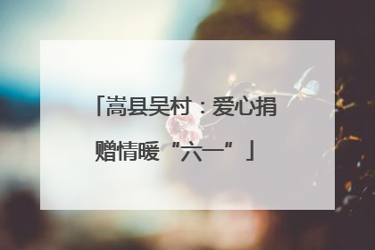 嵩县吴村：爱心捐赠情暖“六一”
