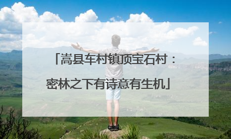 嵩县车村镇顶宝石村：密林之下有诗意有生机