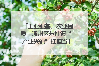 工业强基、农业提质，通州区东社镇“产业兴镇”扛担当