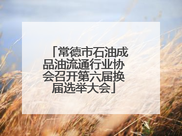 常德市石油成品油流通行业协会召开第六届换届选举大会