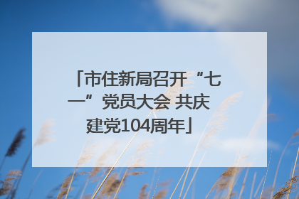 市住新局召开“七一”党员大会 共庆建党104周年