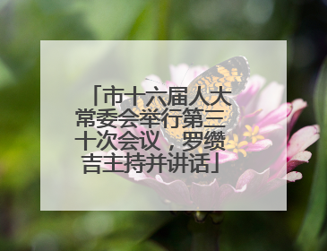 市十六届人大常委会举行第三十次会议，罗缵吉主持并讲话