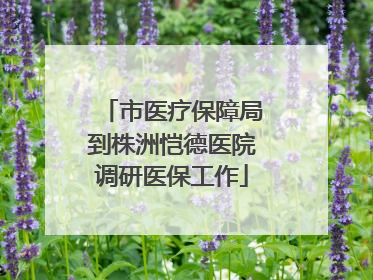 市医疗保障局到株洲恺德医院调研医保工作