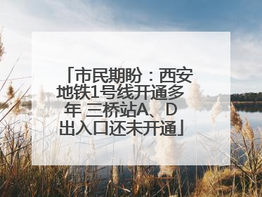 市民期盼：西安地铁1号线开通多年 三桥站A、D出入口还未开通