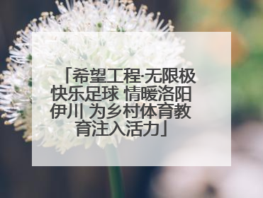 希望工程·无限极快乐足球 情暖洛阳伊川 为乡村体育教育注入活力