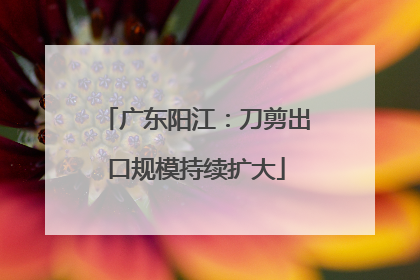 广东阳江：刀剪出口规模持续扩大