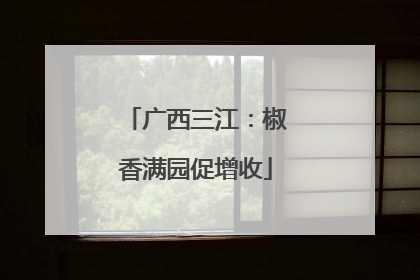 广西三江：椒香满园促增收