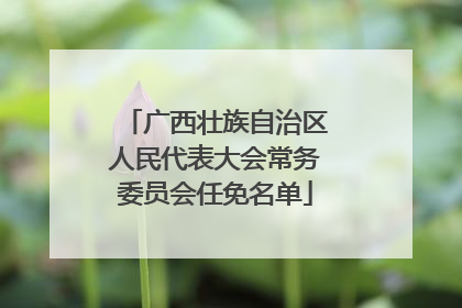 广西壮族自治区人民代表大会常务委员会任免名单