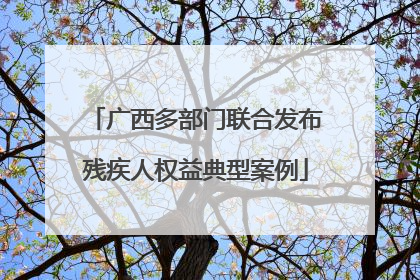 广西多部门联合发布残疾人权益典型案例