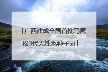 广西建成全国首批马尾松3代无性系种子园
