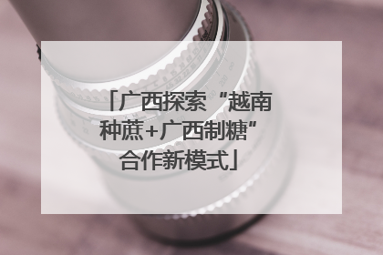 广西探索“越南种蔗+广西制糖”合作新模式