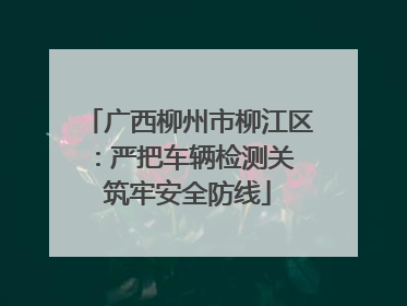 广西柳州市柳江区：严把车辆检测关 筑牢安全防线