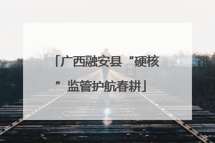 广西融安县“硬核”监管护航春耕