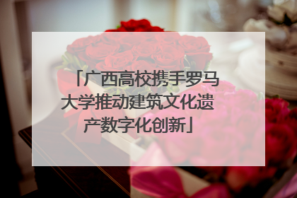 广西高校携手罗马大学推动建筑文化遗产数字化创新