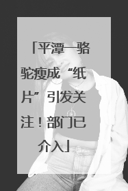 平潭一骆驼瘦成“纸片”引发关注！部门已介入