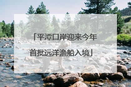 平潭口岸迎来今年首批远洋渔船入境