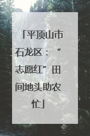 平顶山市石龙区：“志愿红”田间地头助农忙