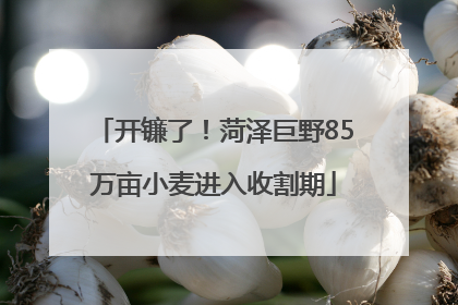 开镰了！菏泽巨野85万亩小麦进入收割期