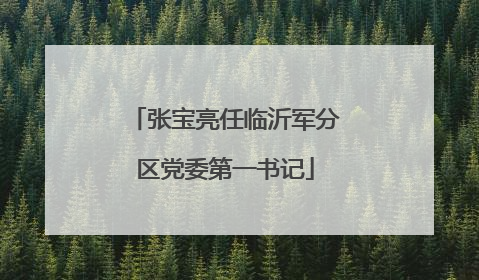 张宝亮任临沂军分区党委第一书记