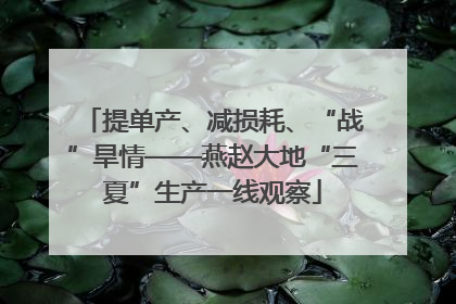 提单产、减损耗、“战”旱情——燕赵大地“三夏”生产一线观察