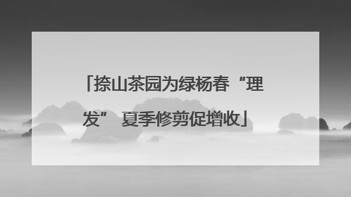 捺山茶园为绿杨春“理发” 夏季修剪促增收