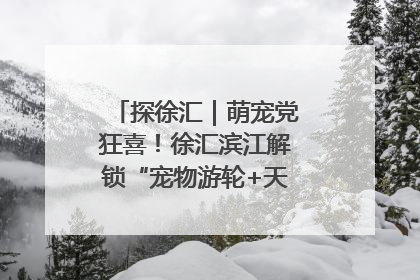 探徐汇｜萌宠党狂喜！徐汇滨江解锁“宠物游轮+天台乐园”双玩法