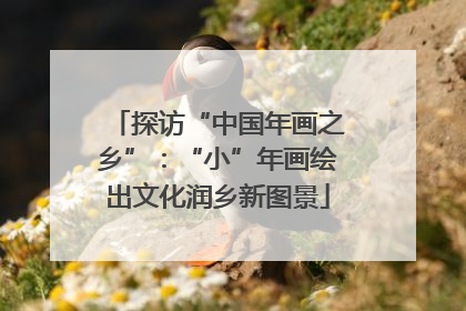 探访“中国年画之乡”：“小”年画绘出文化润乡新图景